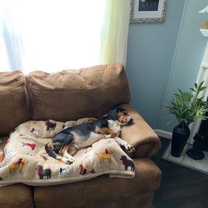 Meet your Posher, David